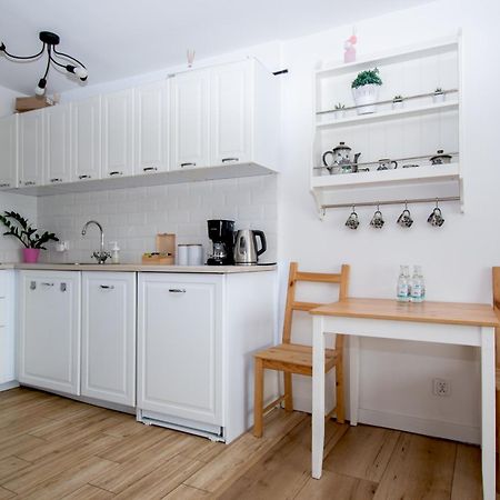 Apartament Przy Zdrojowej チェホチネク エクステリア 写真
