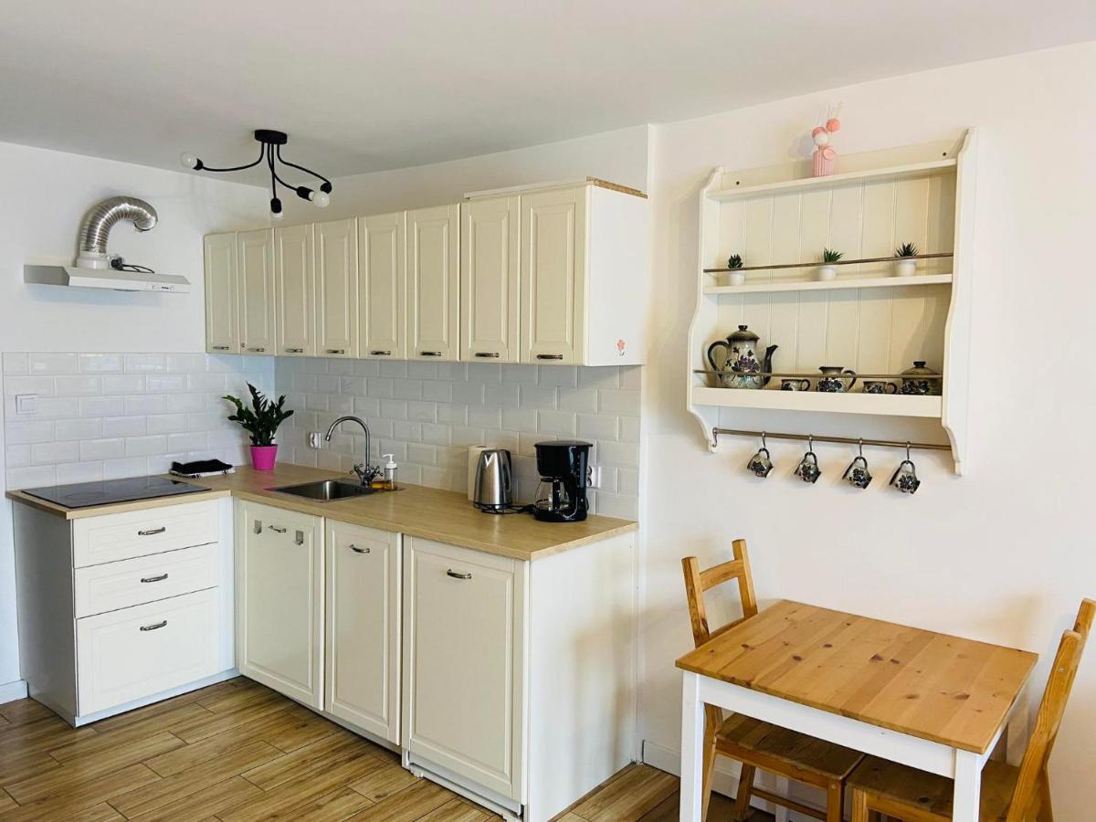 Apartament Przy Zdrojowej チェホチネク エクステリア 写真