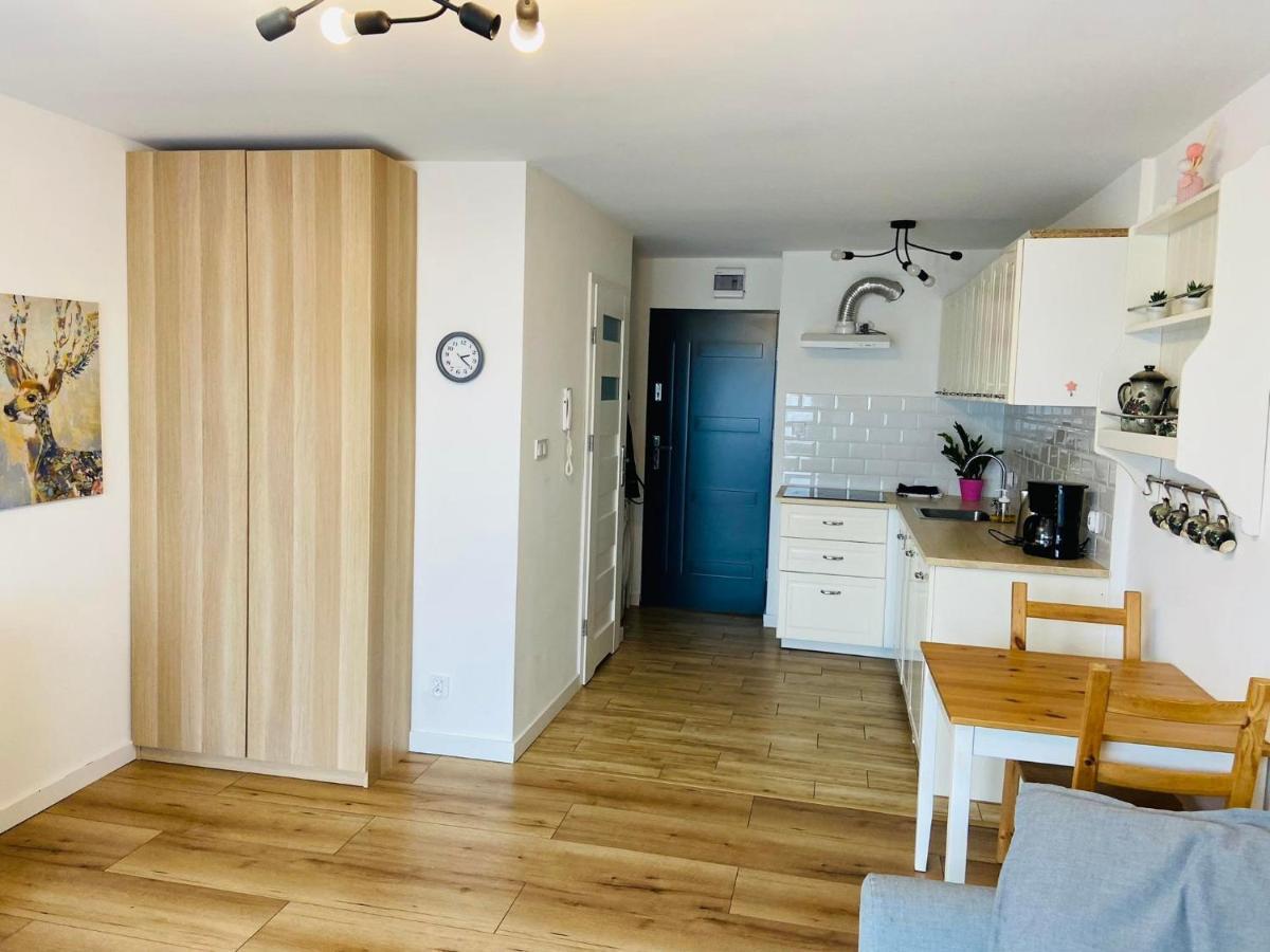 Apartament Przy Zdrojowej チェホチネク エクステリア 写真