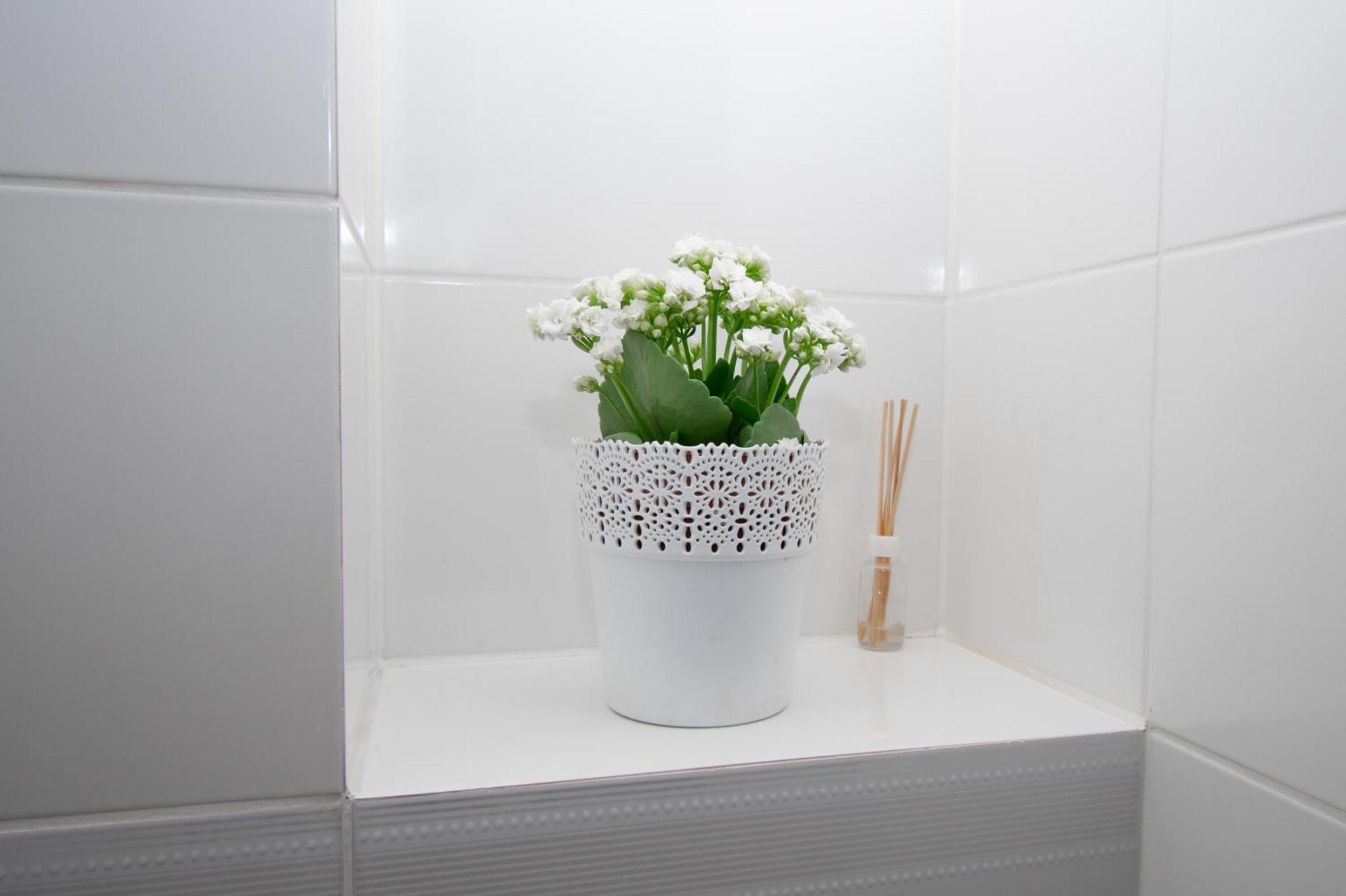 Apartament Przy Zdrojowej チェホチネク エクステリア 写真