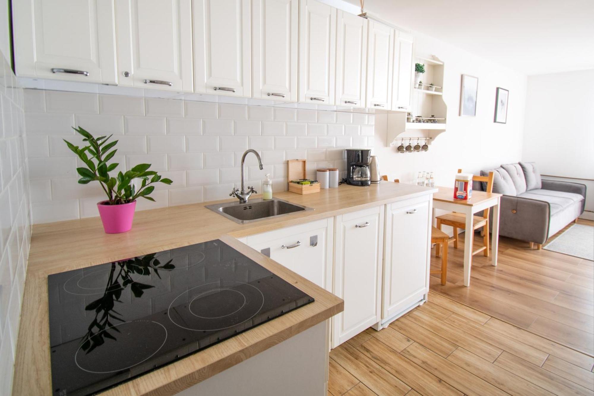 Apartament Przy Zdrojowej チェホチネク エクステリア 写真