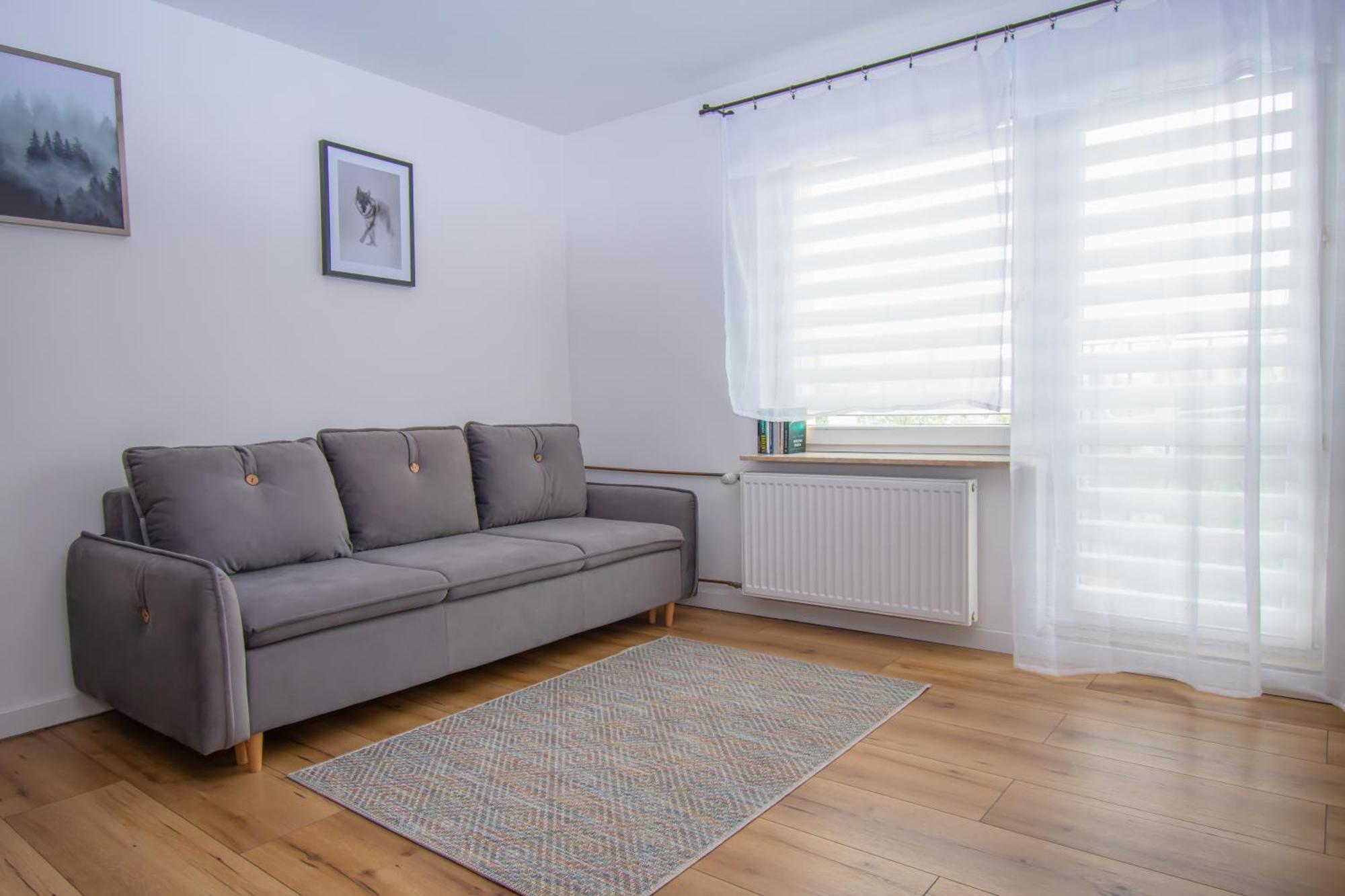Apartament Przy Zdrojowej チェホチネク エクステリア 写真